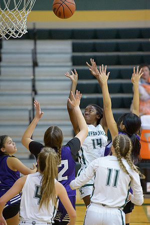DR4_2693