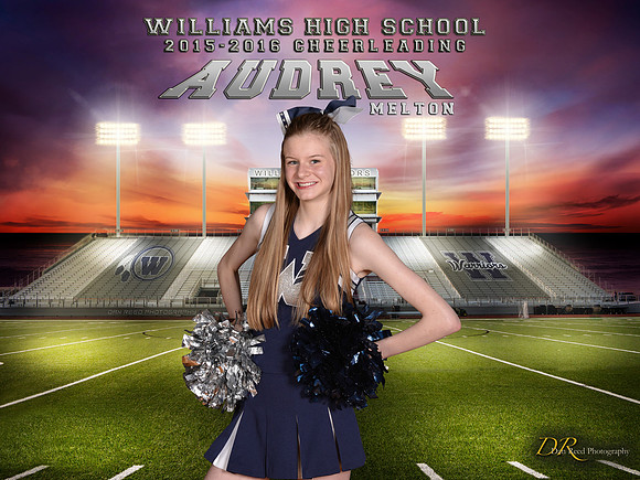 Audrey Banner