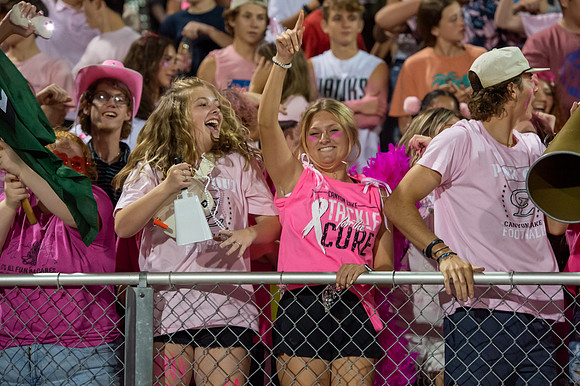 DR4_6781