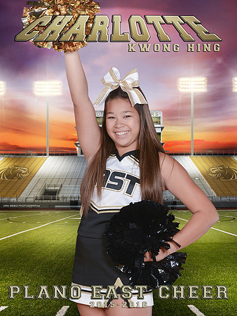 2015 Cheer Banner-Charlotte