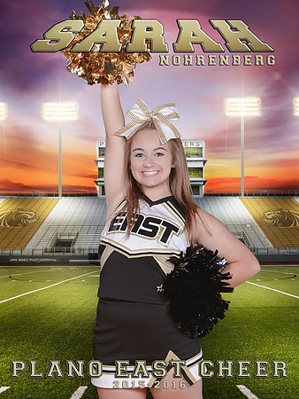 2015 Cheer Banner-Sarah