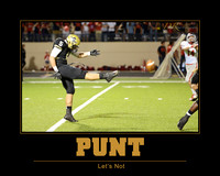 PUNT-16x20-horz-pesh