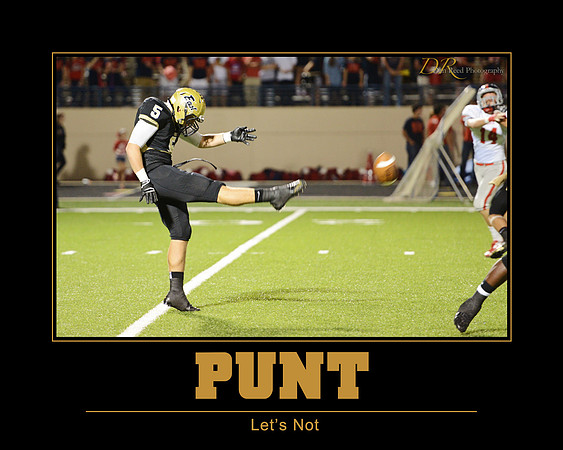 PUNT-16x20-horz-pesh