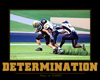 determination-16x20-horz-pesh
