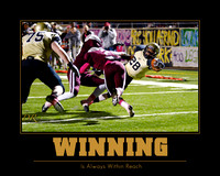 WINNING-16x20-horz-pesh