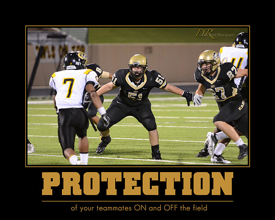 Protection-16x20-horz-pesh