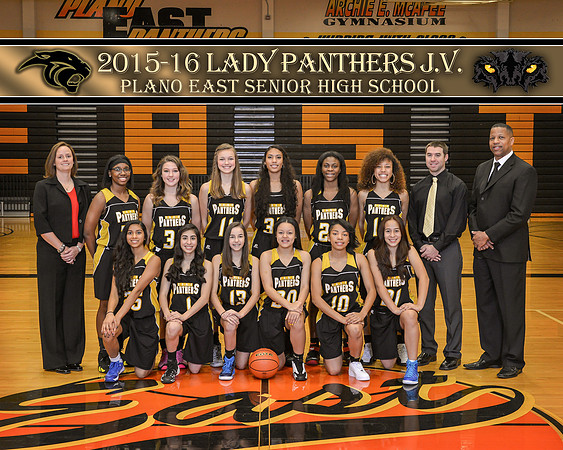 16x20 Girls JV Poster