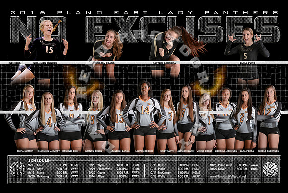12x18 2016 VB Poster-1