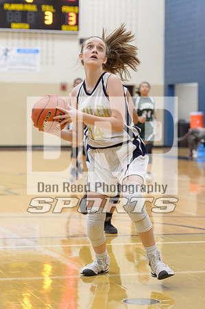 DR4_7408