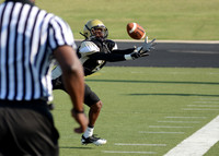 Spring Showcase