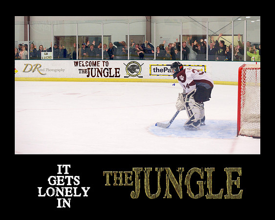 Lonely Jungle