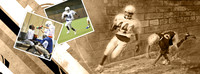FB Cover Taylor 44