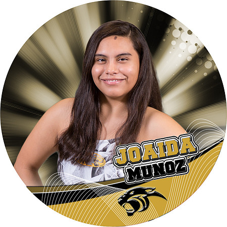 Joaida-photo-button